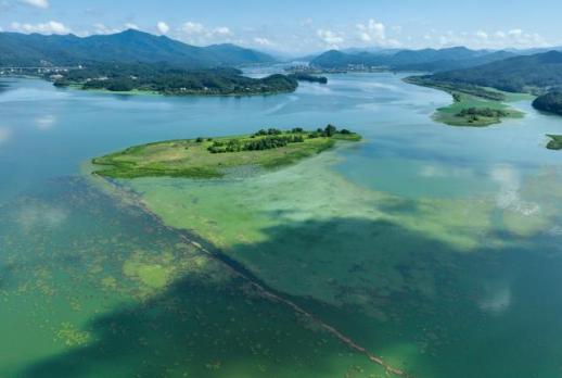 Algal bloom threatens water supply for 25 million in Seoul metropolitan area