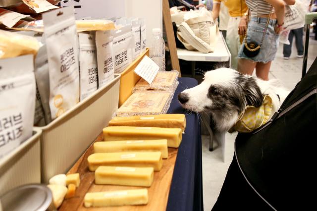 Visitors view displayed products at the K-Pet Fair held at COEX in Seoul on Aug 23 2024 AJU PRESS Kim Dong-woo