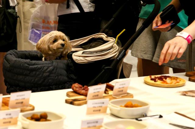 Visitors view displayed products at the K-Pet Fair held at COEX in Seoul on Aug 23 2024 AJU PRESS Kim Dong-woo