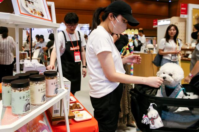 A visitor gives a treat to their companion dog at the K-Pet Fair held at COEX in Seoul on Aug 23 2024 AJU PRESS Kim Dong-woo