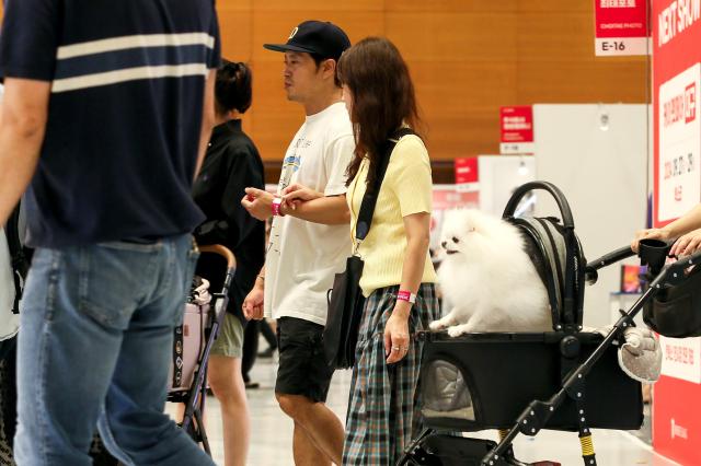 The K-Pet Fair takes place at COEX in Seoul on Aug 23 2024 AJU PRESS Kim Dong-woo