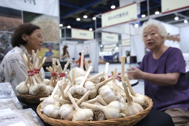 A visitor and an official engage in conversation at the 2024 Festive Gift Fair at COEX in Seoul on Aug 26 2024 AJU PRESS Han Jun-gu