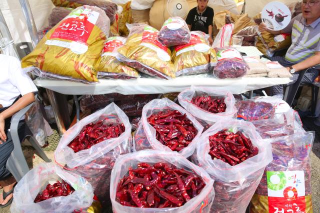 Red chilli peppers stand displayed at a booth at the HOT Festival held in Seoul Plaza August 29 2024 AJP Han Jun-gu