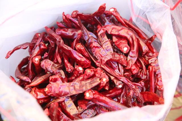 Red chilli peppers are displayed at a booth at the HOT Festival held in Seoul Plaza August 29 2024 AJP Han Jun-gu