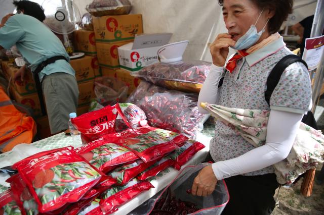 A visitor samples red chilli peppers at the HOT Festival held in Seoul Plaza August 29 2024 AJP Han Jun-gu