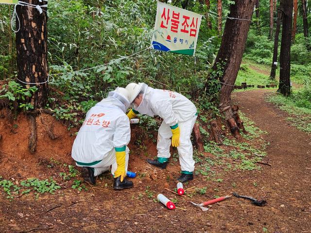 동해소방서 관계자들이 벌집 철거를 진행하고 있다사진동해소방서