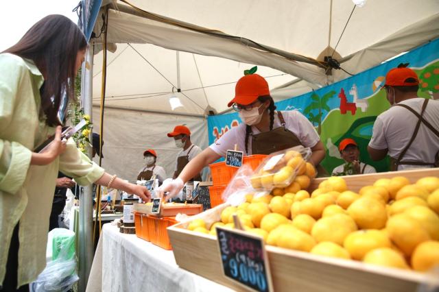 Visitors sample products at the booths set up for the 2024 Seoul Market in Seoul Plaza on Sep 2 2024 AJP Han Jun-gu