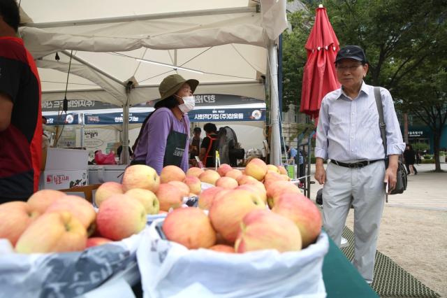 Visitors browse the booths at the 2024 Seoul Market in Seoul Plaza on Sep 2 2024 AJP Han Jun-gu