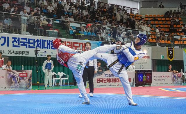 2024 경찰청장기 전국단체대항태권도대회에서 선수들이 열띤 경기를 펼치고 있다사진영천시