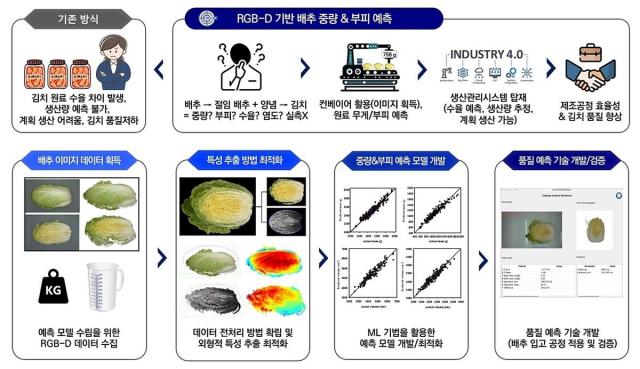 세계김치연구소는 배추의 영상이미지 만으로 부피와 무게를 예측할 수 있는 기술을 개발했다