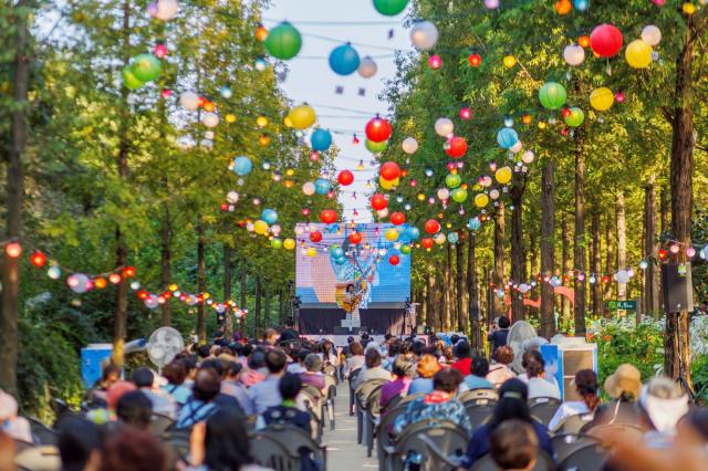 상사화 축제 사진마포구