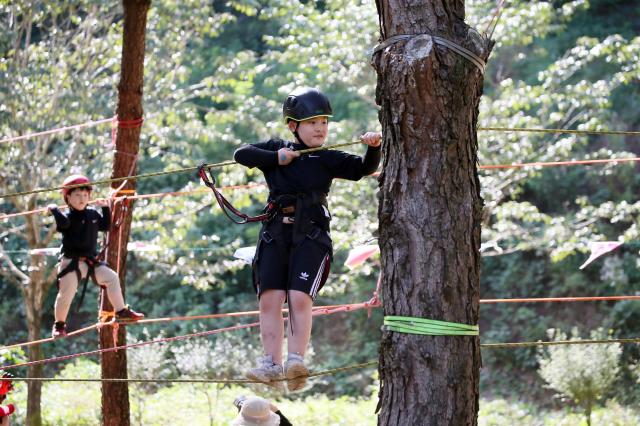 제12회 완주 와일드앤로컬푸드축제에서 새롭게 선보일 트리익스트림사진완주군