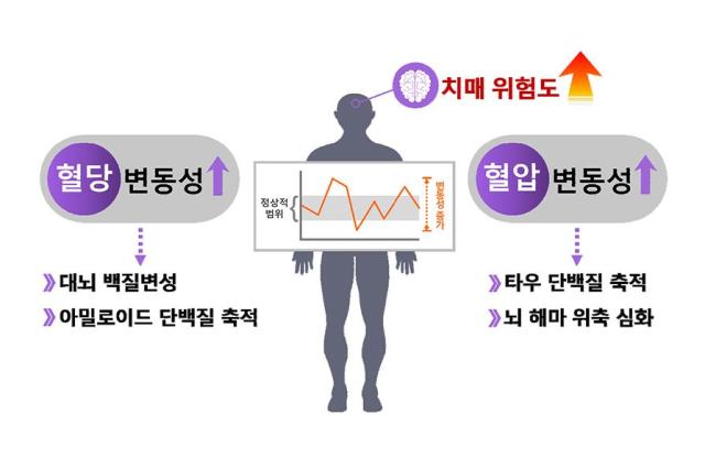 혈당과 혈압 관리가 치매 예방에 중요한 역할을 한다는 사실이 밝혀졌다 사진질병관리청