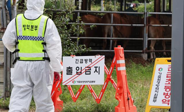 지난 19일 럼피스킨이 발생한 경기도 여주시 한우농가에서 관계자들이 출입을 통제하고 있다 