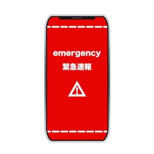 [NNA] 印尼 L 얼럿, 가동 개시