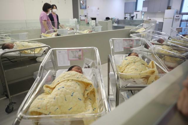 서울 동대문구 린 여성병원에서 의료진이 신생아들을 보살피고 있다 사진연합뉴스