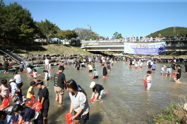 제12회 완주와일드앤로컬푸드축제에 참가한 관광객이 맨손으로 물고기 잡기 체험을 하고 있다사진완주군