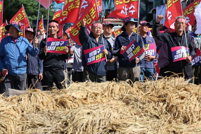 2일 오후 전남 무안군 삼향읍 전남도청 앞에서 광주·전남 농민단체가 벼멸구 피해의 자연재해 인정과 쌀값 보장 등을 정부에 요구하는 농민대회를 열고 있다사진연합뉴스