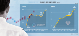 공개매수가 추가 인상 검토 나선 최윤범 고려아연 회장...증권가, 투자 유의 당부