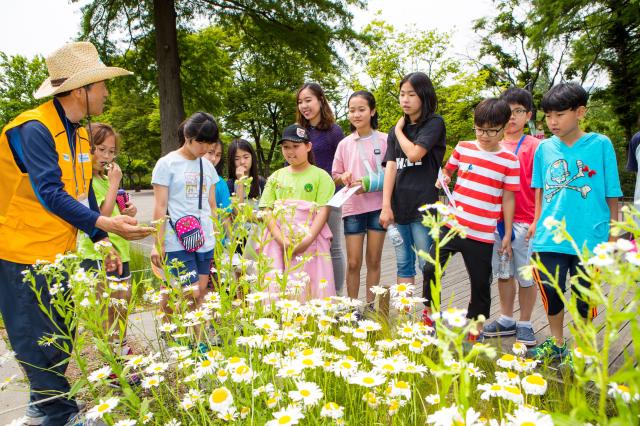 2025 서울 어린이정원 페스티벌 관련 사진 사진서울시