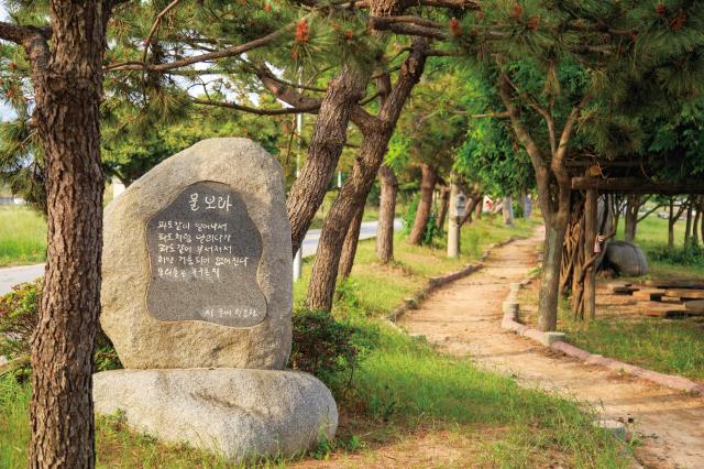 전남 장흥군 한승원 문학산책로 사진장흥군청