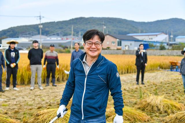 김병수 시장이 17일 대곶면 약암리에 있는 농업기술센터 벼 예찰답을 찾아 시민과 함께 자광벼 베기에 함께 했다 사진김포시