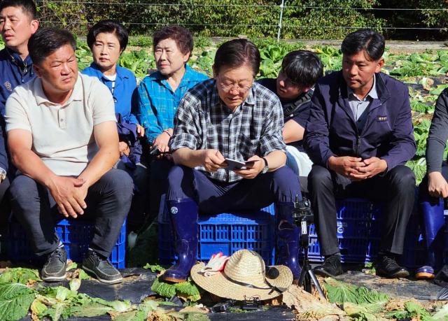 이재명 더불어민주당 대표가 17일 오후강원 평창군 방림면 배추밭을 찾아 농민들에게서 작황 등 애로사항을 듣고 있다 사진연합뉴스