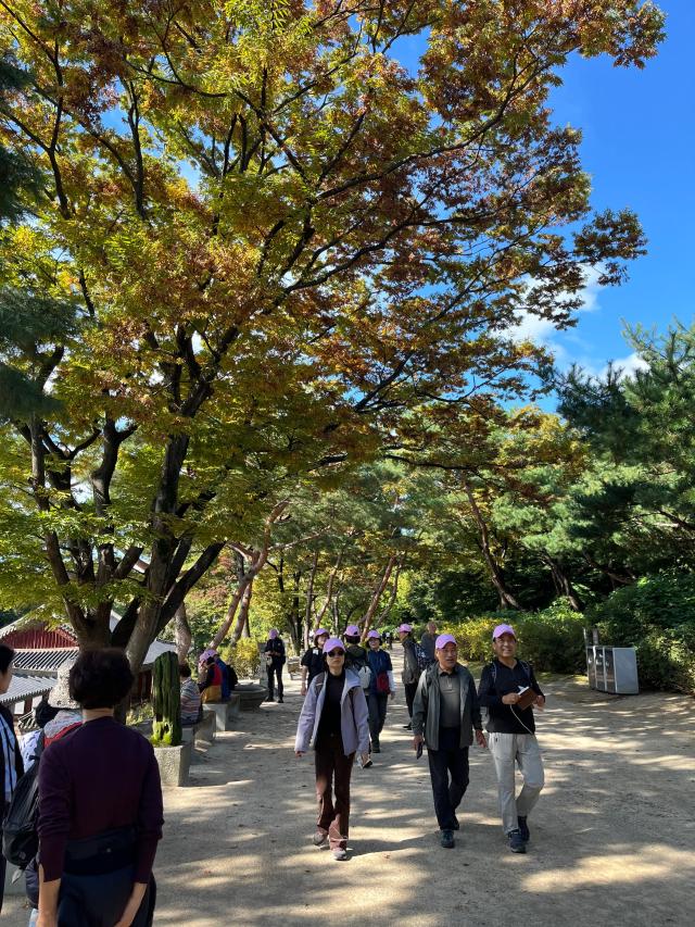 19일 아주경제신문에서 주최한 청와대 5대 궁궐 트레킹 행사 참가자들이 창경궁의 춘당지로 향하고 있다사진한승구 수습기자