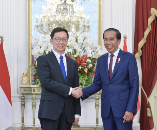 Chinese vice president meets with Indonesian president 