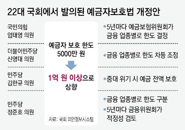 22대 국회 발의 예금자보호법 개정안