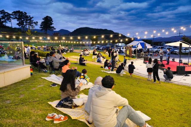 트윙클 성주 힐링나이트 in 성산동고분군 행사 모습사진성주군 