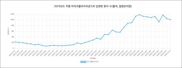 2024년도 주별 마이코플라즈마균으로 입원한 환자 수 자료질병관리청