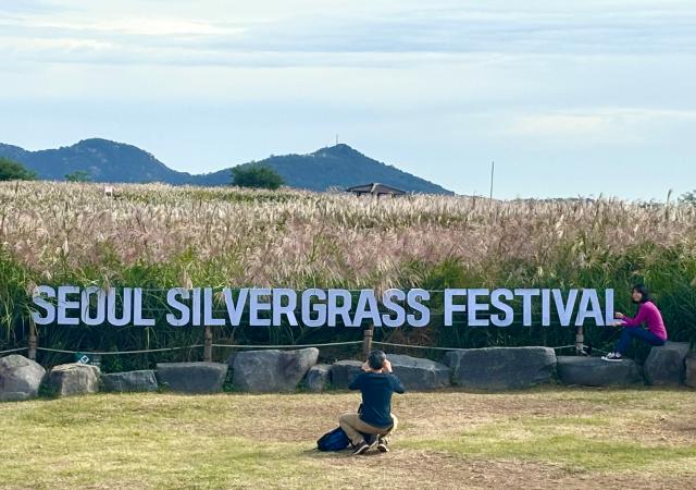 Visitors take photos at the Seoul silvergrass festival in Seoul Oct 21 2024 AJP Han Jun-gu