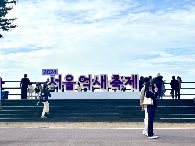 Visitors take photos at the Seoul silvergrass festival in Seoul Oct 21 2024 AJP Han Jun-gu