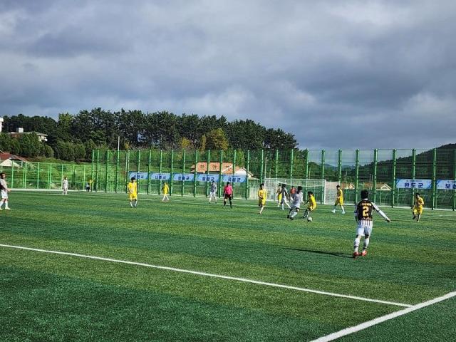 완도에서 열린 제36회 전라남도 생활체육대축전 축구 경기사진신안군