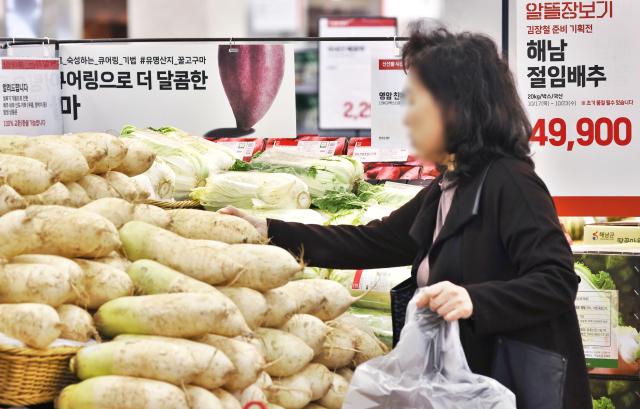 金배추 된 이유...방출가능 물량 제로 