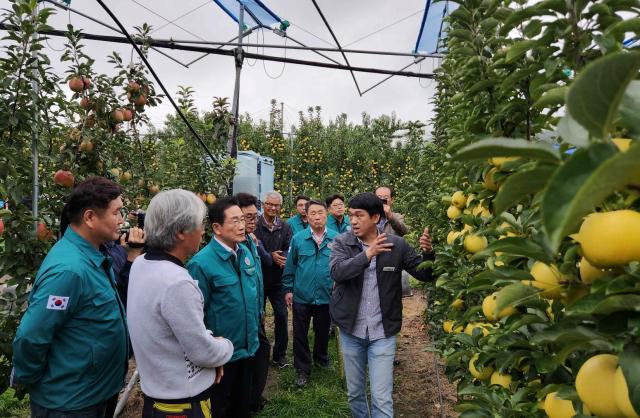 최기문 영천시장이 지난 22일 신녕면 소재 사과원에서 열린 다축형 사과재배 확산을 위한 현장 설명회에 참석해 관계자들과 사과 재배에 관해 대화를 나누며 설명을 듣고 있다사진영천시