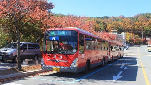 대구광역시는 팔공산 단풍으로 팔공산 순환도로 방문객이 크게 증가할 것으로 예상되므로 차내 혼잡도 완화를 위해 시내버스를 증회운행한다 사진대구시