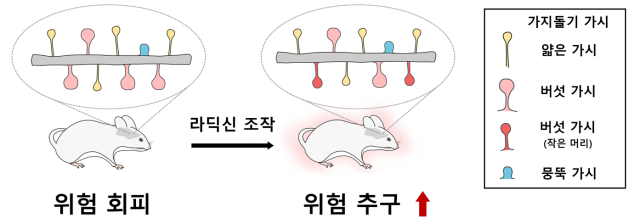 사진세브란스