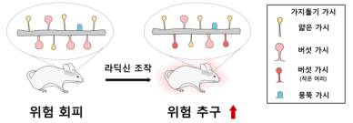 세브란스, 뇌신경세포 조작 통한 도박중독 조절 가능성 규명