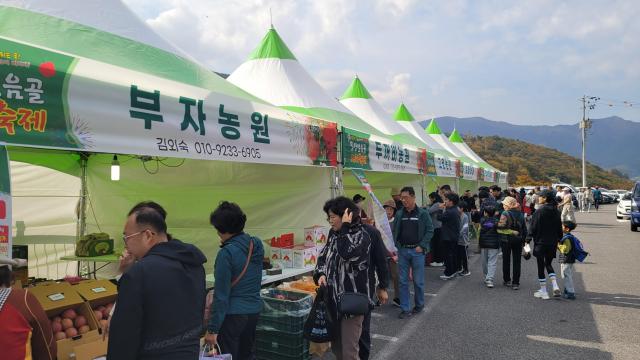 지난해 열린 사과 축제 판매장에서 방문객들이 사과를 구매하고 있다사진밀양시