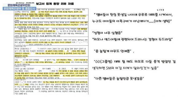 지난 24일 국회 문화체육관광위원회의 종합국정감사 생중계 화면 사진국회방송
