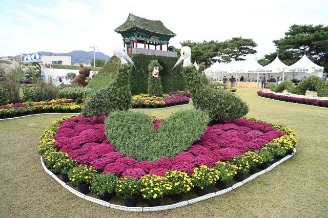 제23회 홍성사랑국화축제amp농업축전사진홍성군