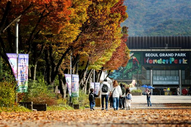 Visitors walk along a trail at Seoul Grand Park in Gwacheon Gyeonggi Province on Oct 30 2024 AJP Kim Dong-woo