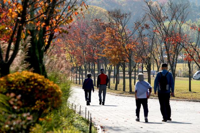 Visitors walk along a trail at Seoul Grand Park in Gwacheon Gyeonggi Province on Oct 30 2024 AJP Kim Dong-woo