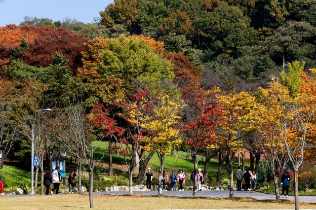 Visitors walk along a trail at Seoul Grand Park in Gwacheon Gyeonggi Province on Oct 30 2024 AJP Kim Dong-woo