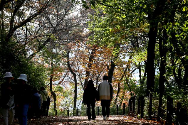 Visitors walk along a trail at Seoul Grand Park in Gwacheon Gyeonggi Province on Oct 30 2024 AJP Kim Dong-woo