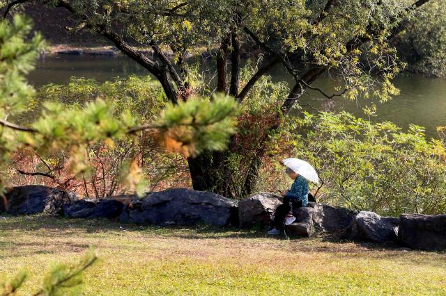 A visitor takes a rest at Seoul Grand Park in Gwacheon Gyeonggi Province on Oct 30 2024 AJP Kim Dong-woo