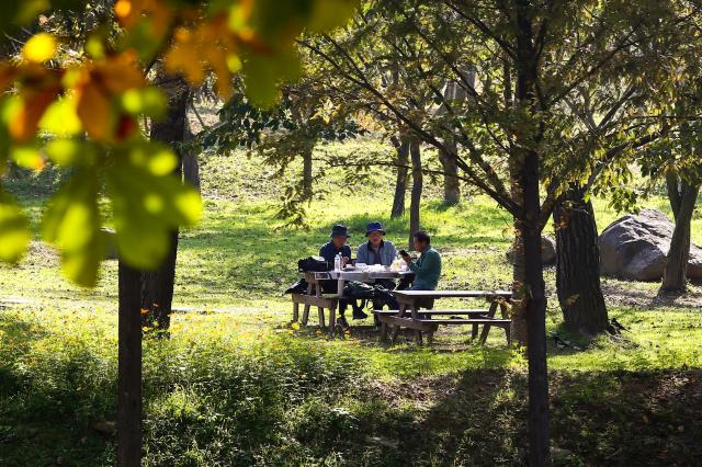 Visitors chat on a bench at Seoul Grand Park in Gwacheon Gyeonggi Province on Oct 30 2024 AJP Kim Dong-woo