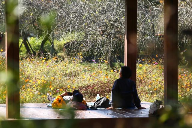 Visitors take a rest at Seoul Grand Park in Gwacheon Gyeonggi Province on Oct 30 2024 AJP Kim Dong-woo